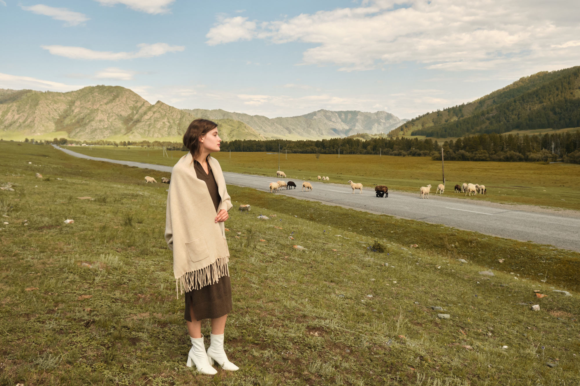 Монгольский кашемир: история и традиции производства